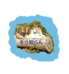福岡の田舎の丸太猫（個別スタンプ：6）