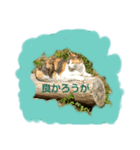 福岡の田舎の丸太猫（個別スタンプ：7）