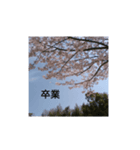なかなかできん（個別スタンプ：4）