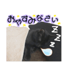 黒猫てんくん（個別スタンプ：3）