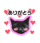 黒猫てんくん（個別スタンプ：6）