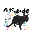 黒猫てんくん（個別スタンプ：10）