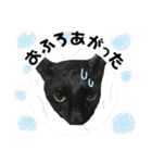 黒猫てんくん（個別スタンプ：14）