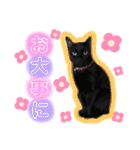 黒猫てんくん（個別スタンプ：19）