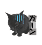 黒猫てんくん（個別スタンプ：23）