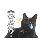 黒猫てんくん（個別スタンプ：25）