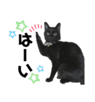 黒猫てんくん（個別スタンプ：28）