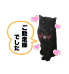 黒猫てんくん（個別スタンプ：29）
