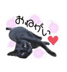 黒猫てんくん（個別スタンプ：32）