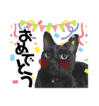 黒猫てんくん（個別スタンプ：34）