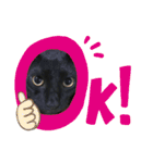 黒猫てんくん（個別スタンプ：39）