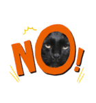 黒猫てんくん（個別スタンプ：40）