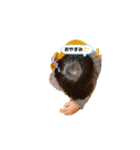しゅんちゃんです。01（個別スタンプ：3）