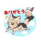 みーと愉快な仲間たち（個別スタンプ：37）