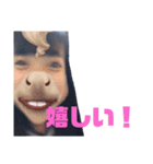 色んならんちん（個別スタンプ：7）