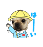 犬猫スタンプ③（個別スタンプ：12）