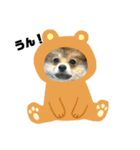 犬猫スタンプ③（個別スタンプ：15）