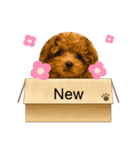 犬猫スタンプ③（個別スタンプ：16）