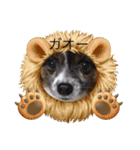 犬一匹だけのスタンプ（個別スタンプ：2）