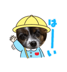 犬一匹だけのスタンプ（個別スタンプ：8）