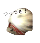 ぱーちゃんの気持ち。（個別スタンプ：8）