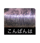 写真で「こんばんは」3（個別スタンプ：2）