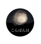 写真で「こんばんは」3（個別スタンプ：3）