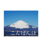 写真で「こんばんは」3（個別スタンプ：15）