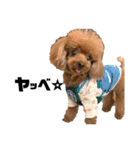 HAWAIIAN DOG 2（個別スタンプ：2）
