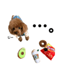HAWAIIAN DOG 2（個別スタンプ：3）