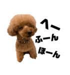 HAWAIIAN DOG 2（個別スタンプ：4）