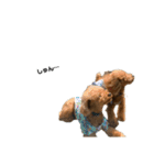 HAWAIIAN DOG 2（個別スタンプ：6）