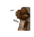 HAWAIIAN DOG 2（個別スタンプ：7）