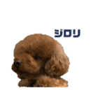 HAWAIIAN DOG 2（個別スタンプ：8）
