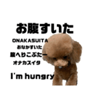 HAWAIIAN DOG 2（個別スタンプ：10）