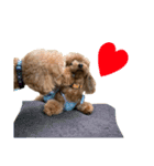 HAWAIIAN DOG 2（個別スタンプ：14）