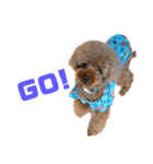 HAWAIIAN DOG 2（個別スタンプ：15）