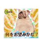 ブルドッグ のチャンスくん（個別スタンプ：12）