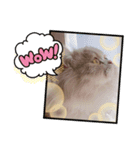 もっぷのつかえるスタンプ（個別スタンプ：2）