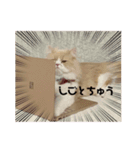 もっぷのつかえるスタンプ（個別スタンプ：3）