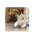 もっぷのつかえるスタンプ（個別スタンプ：7）