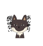 黒豆柴のさくらちゃん（個別スタンプ：7）