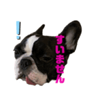 peroスタ（個別スタンプ：2）