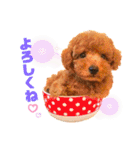 可愛いオラちゃんのスタンプ（個別スタンプ：1）