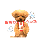 可愛いオラちゃんのスタンプ（個別スタンプ：31）