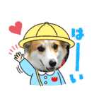 コーギー犬チャムのスタンプ（個別スタンプ：9）