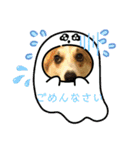 コーギー犬チャムのスタンプ（個別スタンプ：15）
