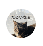 おとらスタンプー（個別スタンプ：1）