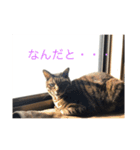 おとらスタンプー（個別スタンプ：6）