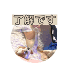 毎日そうすけ 2（個別スタンプ：5）